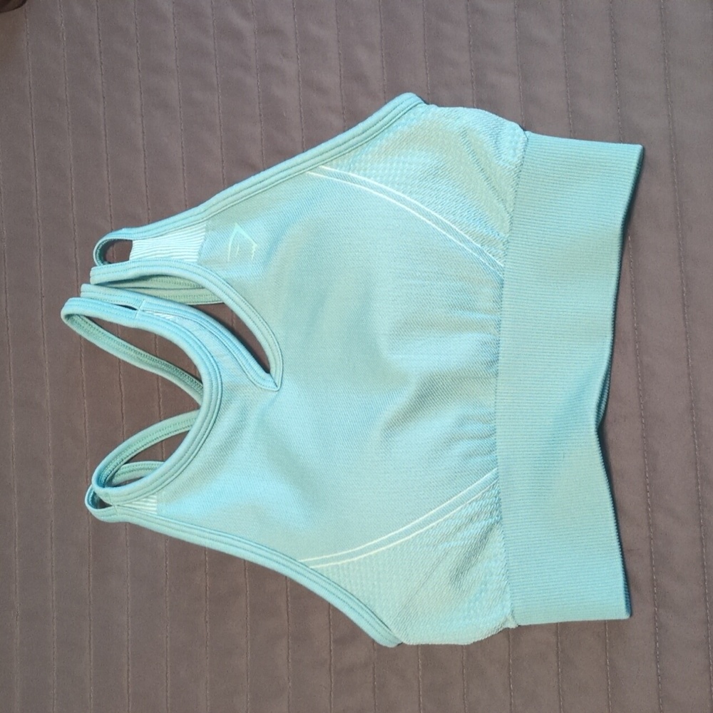 Gymshark Light Blue Ultra Seamless Sports Bra